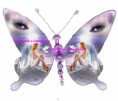 /album/prodotti-animali-2-farfalle-ed-insetti-vari/farfalle-2-filigrana-jpg/